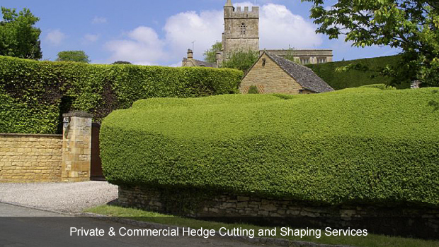 Hedge Cutting Ayrshire